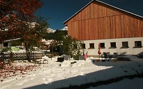 Das Edelweiss
